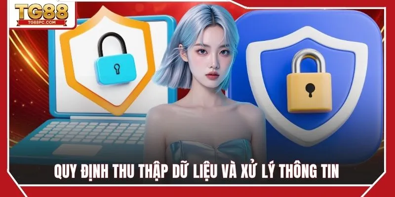 Quy trình thu thập dữ liệu và xử lý thông tin